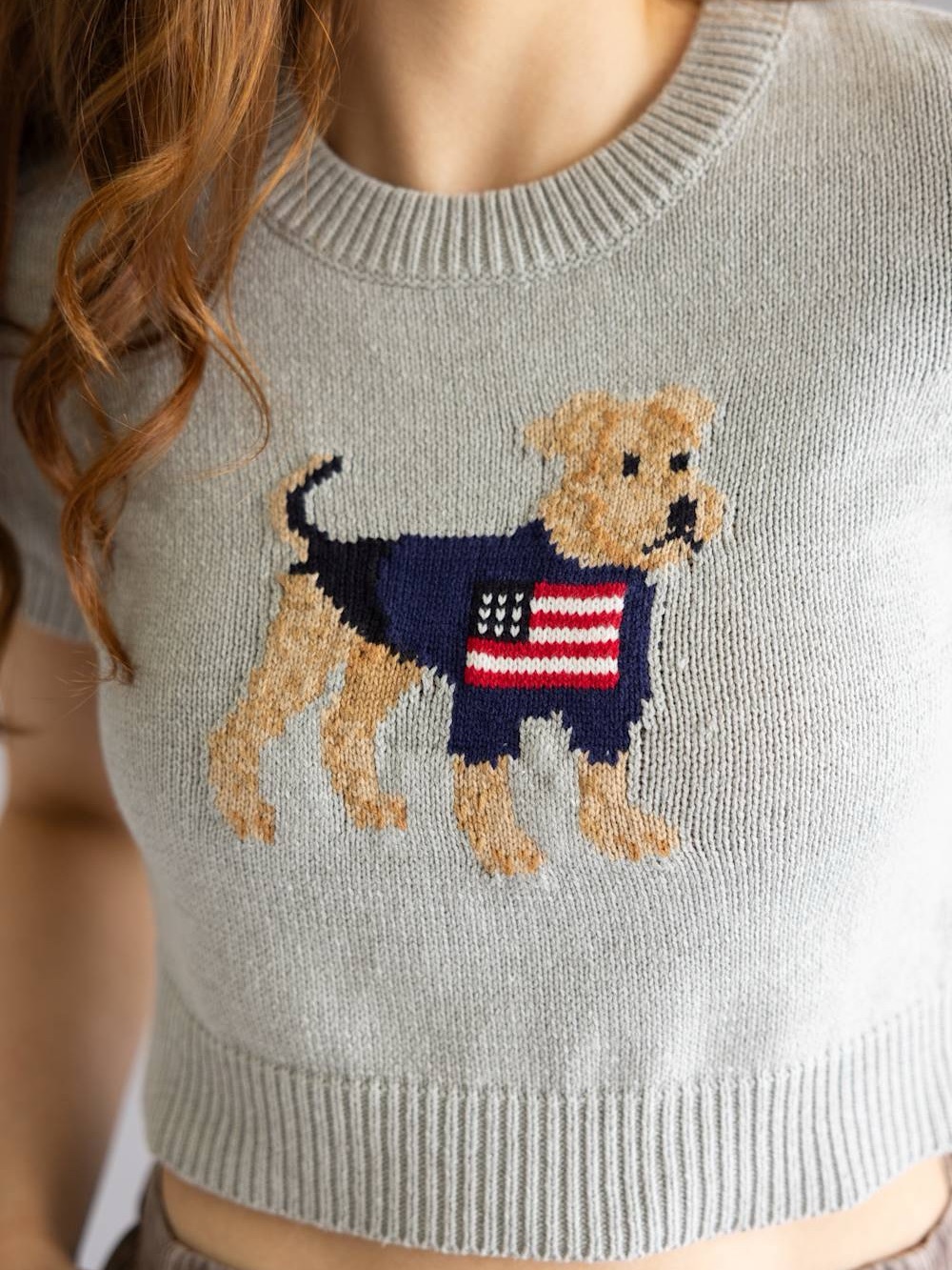 Le Lis Light Gray Cropped Knit PATRIOTIC PUPPY SWEATER Top with Dog - Picture 6 of 6